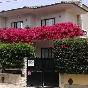 Dolce Cascaes